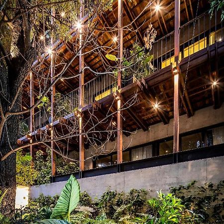 Ana Polanco Apartments Ciudad de México Exteriér fotografie